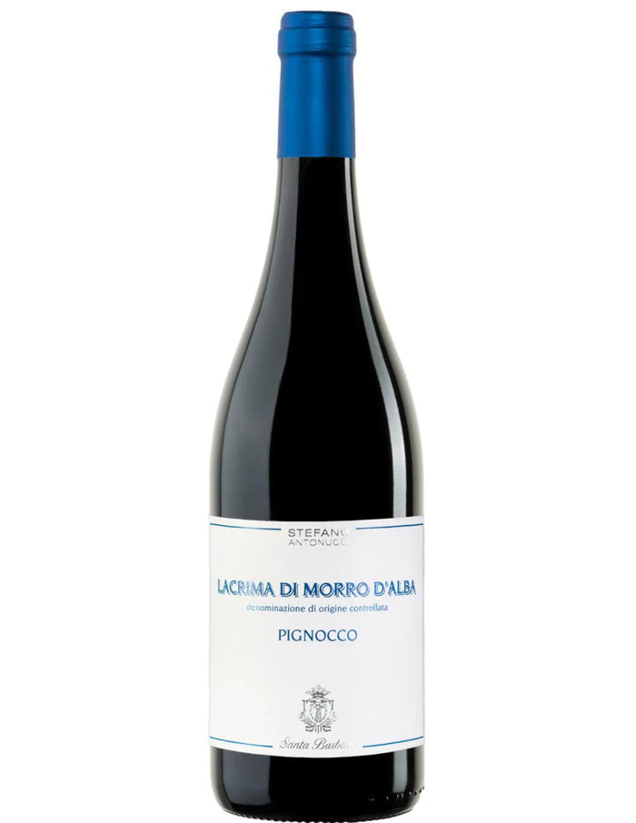 Santa Barbara Stefano Antinucci Lacrima Morro d'Alba 2021