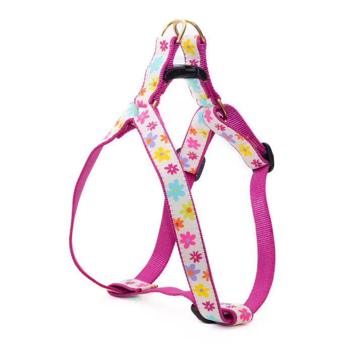 Spring Fever Dog Harness (optional Leash)