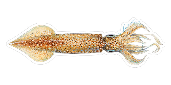 Squid - 8.5"