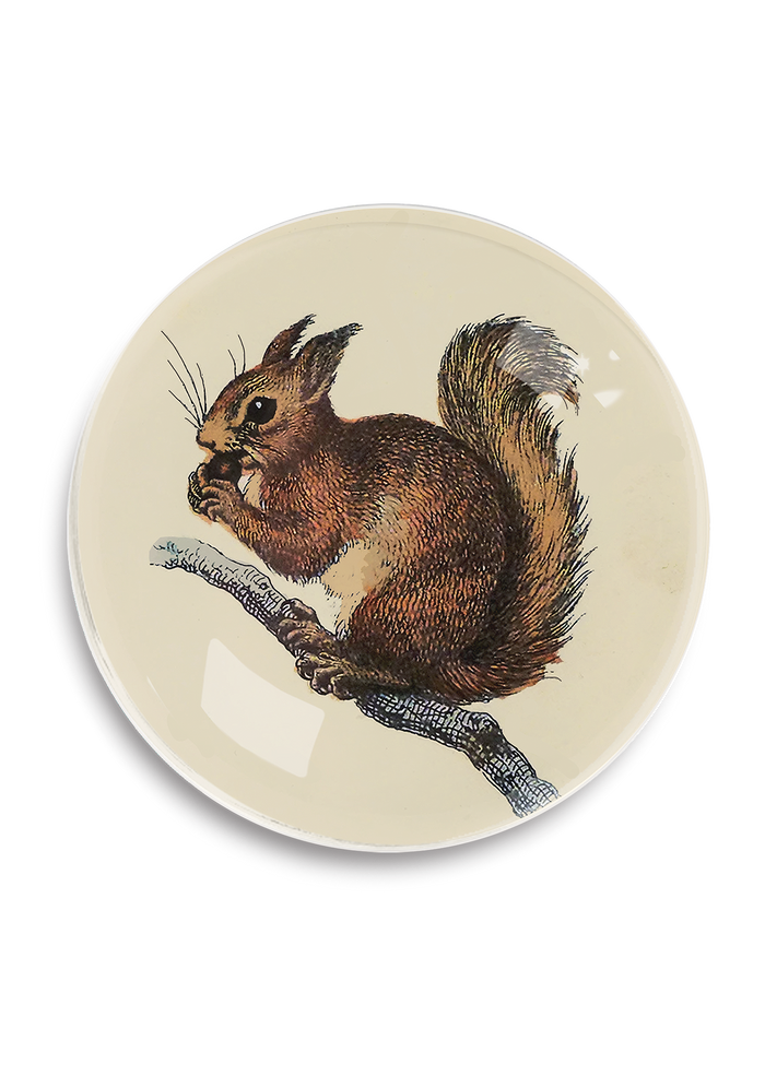 Squirrel Round Decoupage Tray - Ben's Garden