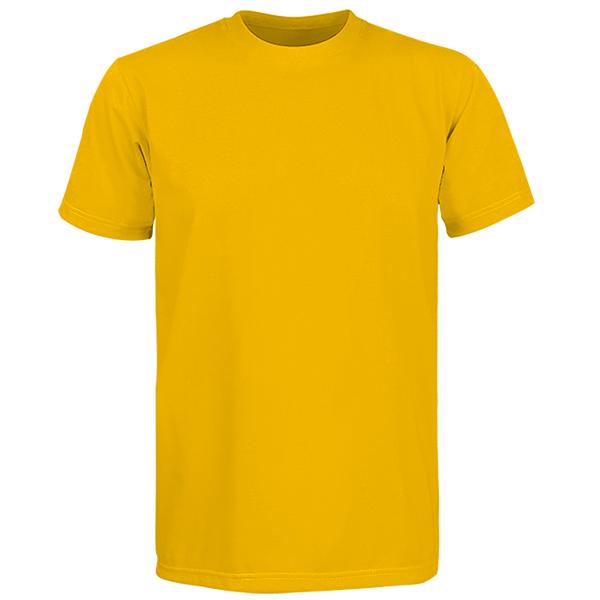 Standard Round Neck Shirt (RP01)