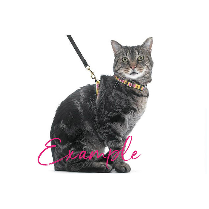 Sushi Leash and Harness Set