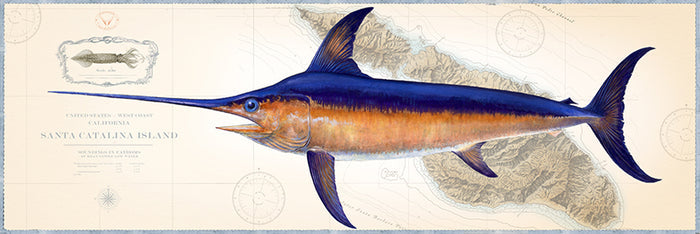 Swordfish