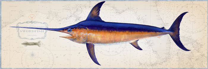 Swordfish