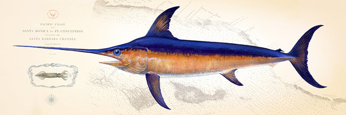 Swordfish