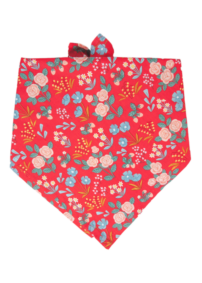 A cheerful red dog bandana adorned with an all-over floral pattern of soft blooms, and leaves, tied at the top in a classic triangle shape for a fun, fashionable flair.