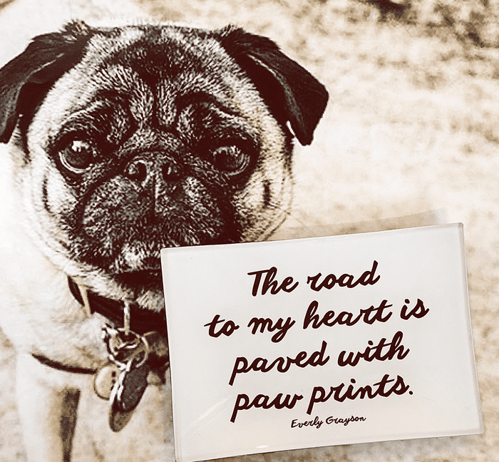 The Road To My Heart Is Paved With Paw Prints Decoupage Glass Tray - Ben's Garden