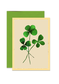 Three Lucky Clover Folded Greeting Card - Ben's Garden