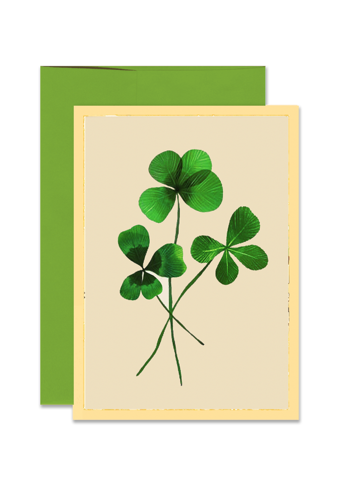Three Lucky Clover Folded Greeting Card - Ben's Garden