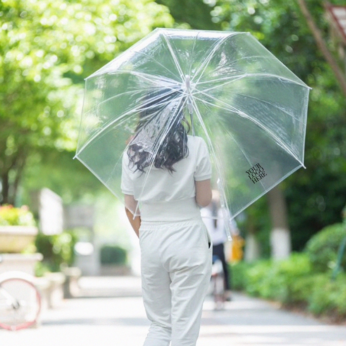 Transparent Umbrella (UB06)