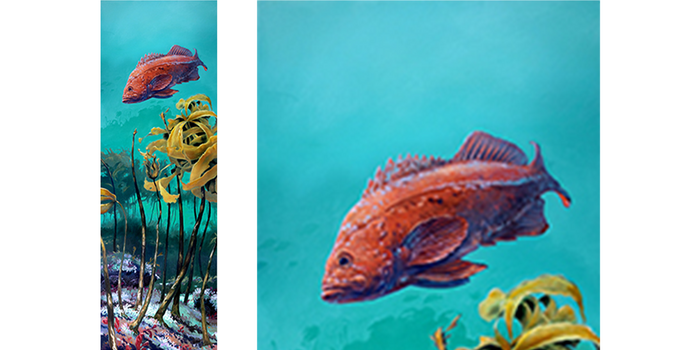 Vermillion Rockfish in Nor-Cal Kelp Bed