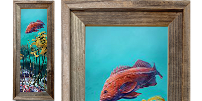 Vermillion Rockfish in Nor-Cal Kelp Bed
