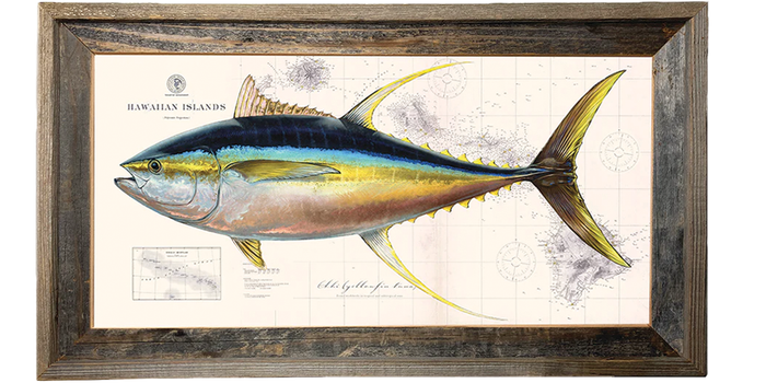 Yellowfin Tuna