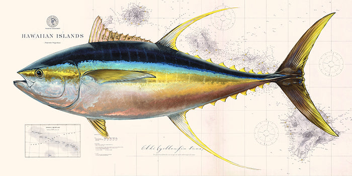 Yellowfin Tuna