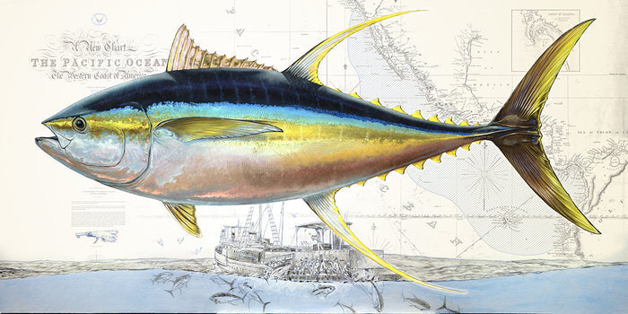 Yellowfin Tuna