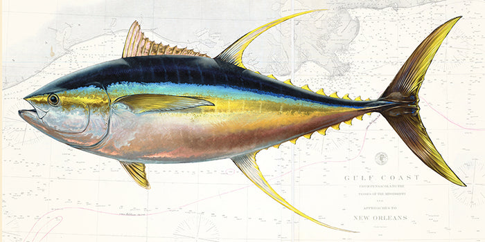 Yellowfin Tuna
