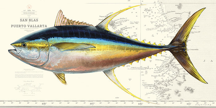 Yellowfin Tuna